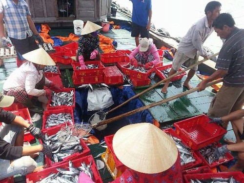 Рыбаки Вьетнама начинают первую в новом году рыбную ловлю в районе островов Чыонгша - ảnh 1